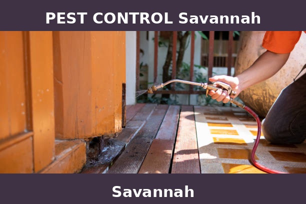 PEST CONTROL Savannah